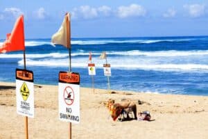 Rip Currents, The Quiet Threat