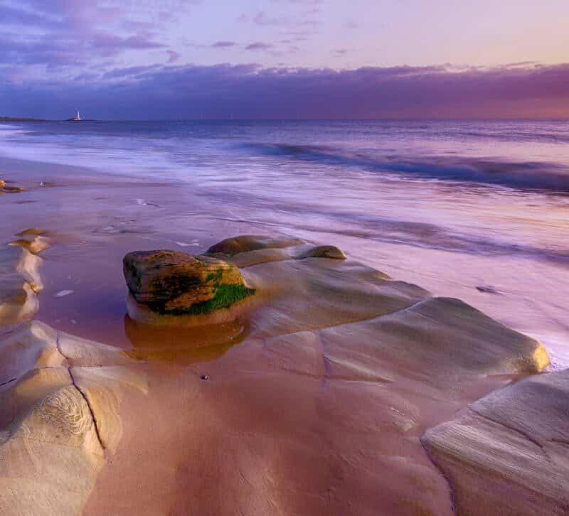 9 Places To See Bioluminescence Without Leaving Shore