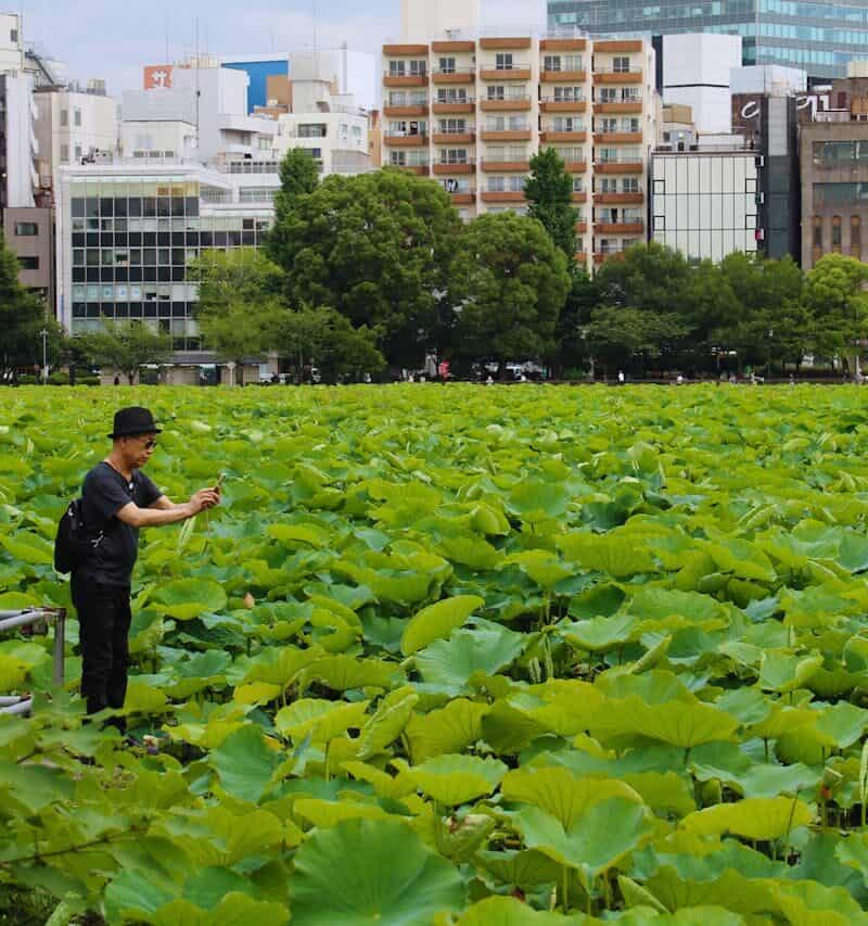 14 Japan First‑Timer Mistakes And How To Avoid Them In 2025