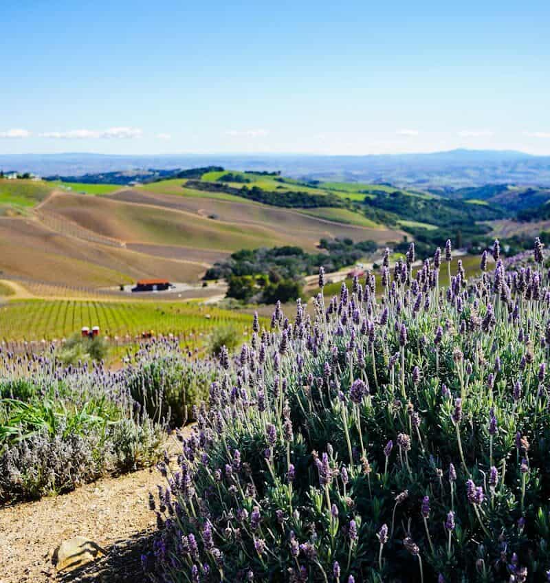 Paso Robles, California