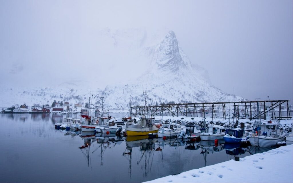 Fishing boats in Kodiak harbor
