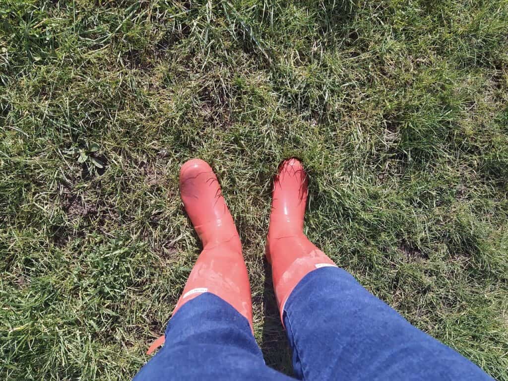 Galápagos biosecurity boot cleaning