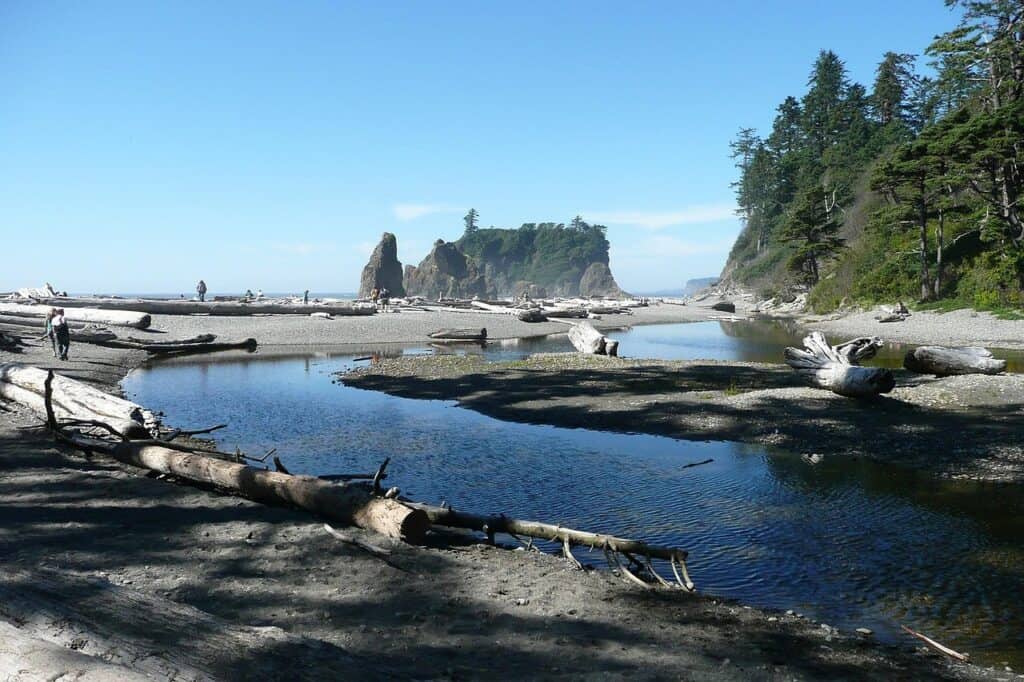 Olympic Peninsula, Washington