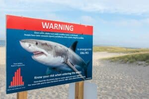 New Smyrna Beach Florida shark warning danger flags Atlantic Ocean