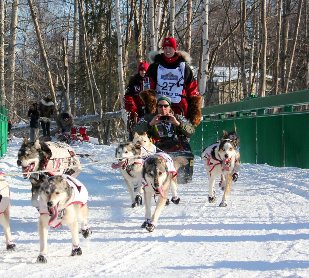 dog sledding adventure juneau