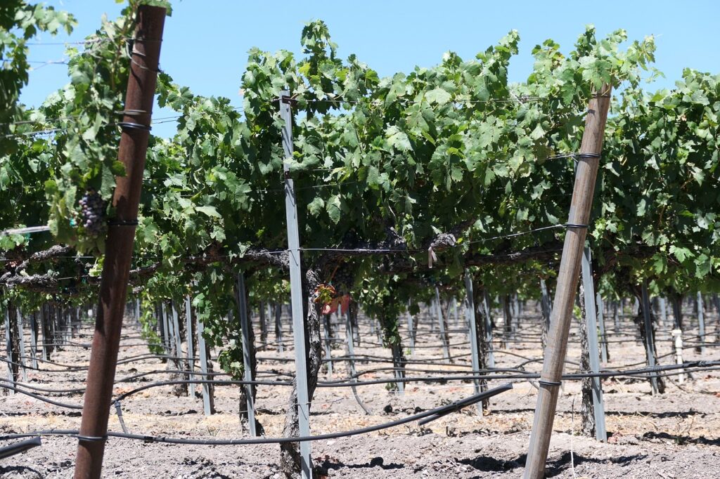 Paso Robles, California