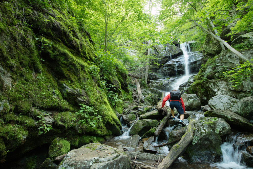 Man exploring idyllic forest waterfall in Shenandoah National Park, Virginia, USA