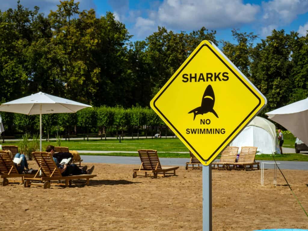 Shark Capital Facts
