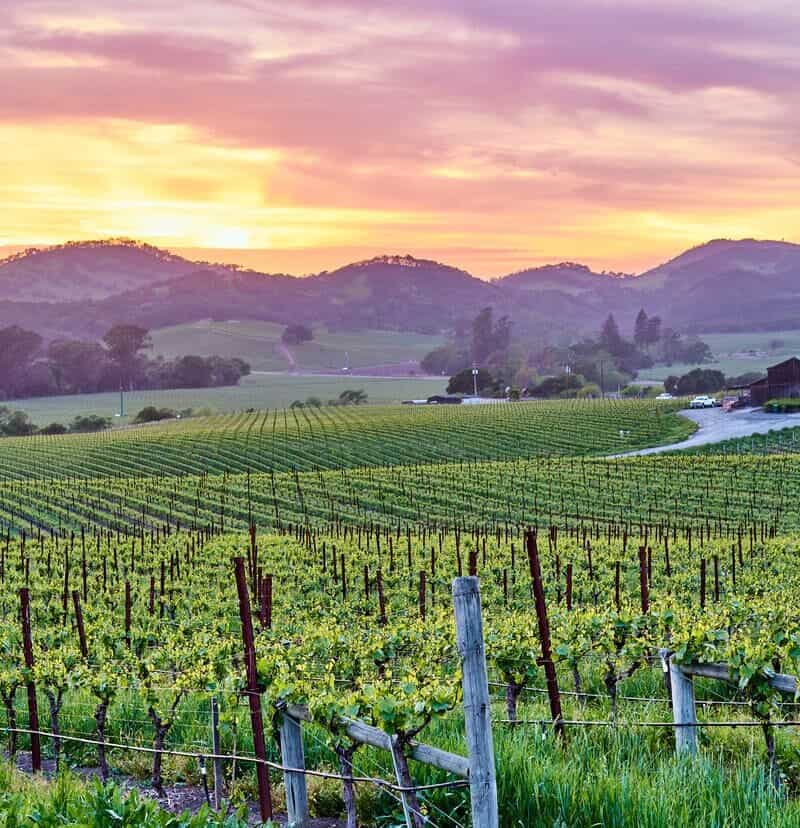 Why Travelers Are Pivoting from Europe in 2025 (And U.S. Alternatives That Feel Just as Grand)