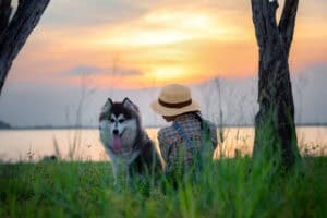 pet-friendly luxury vacation,