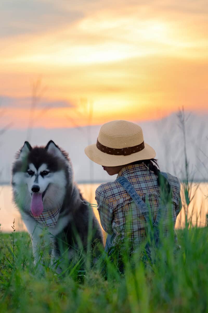 pet-friendly luxury vacation,