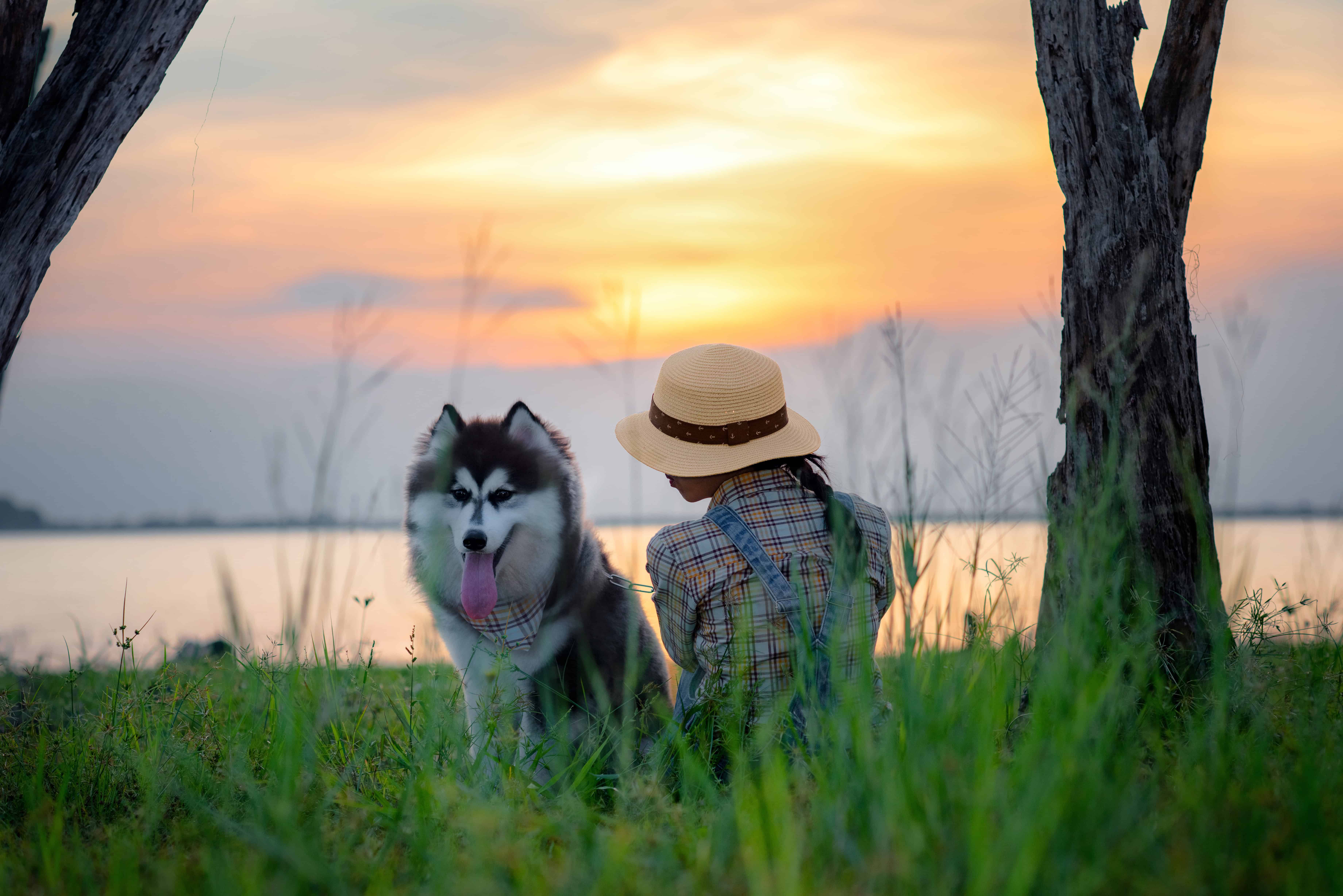 pet-friendly luxury vacation,