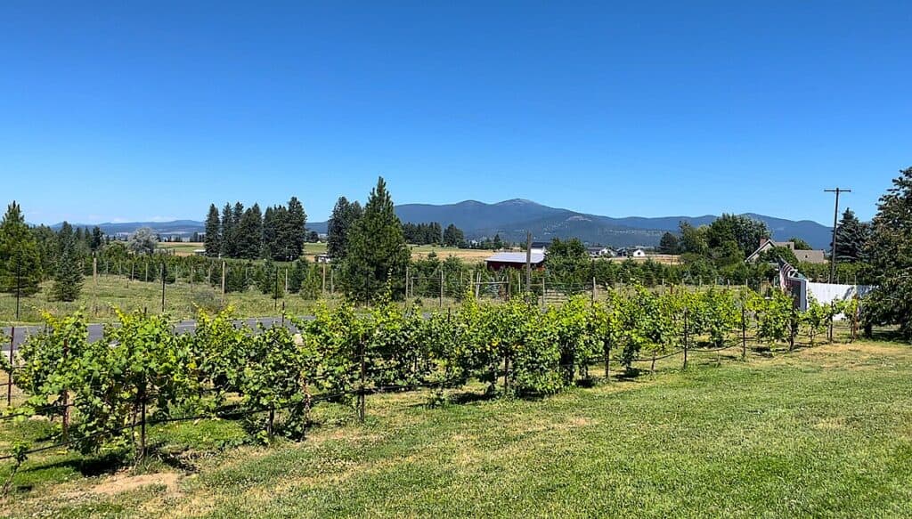 Green Bluff Farm Loop, Near Spokane, Washington