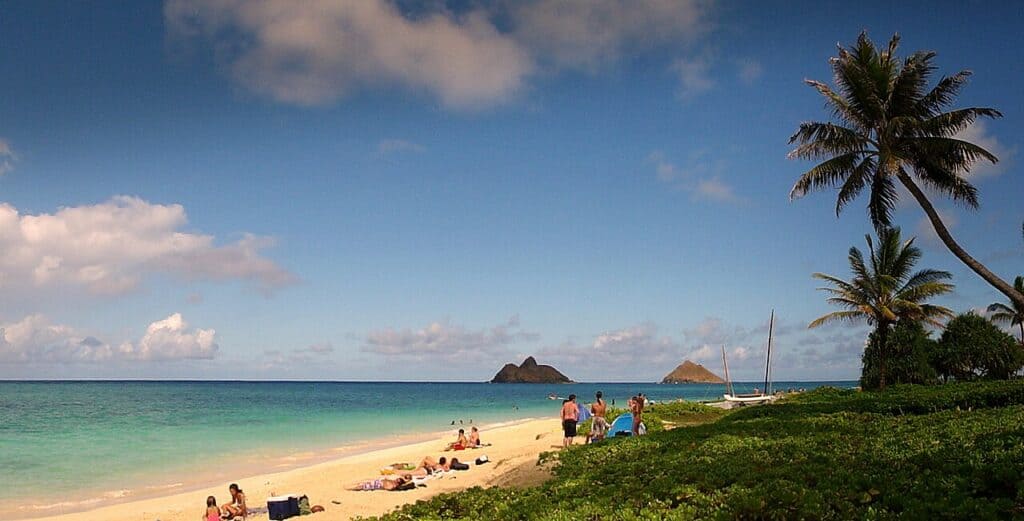 Lanai Hawaii beach cove aerial