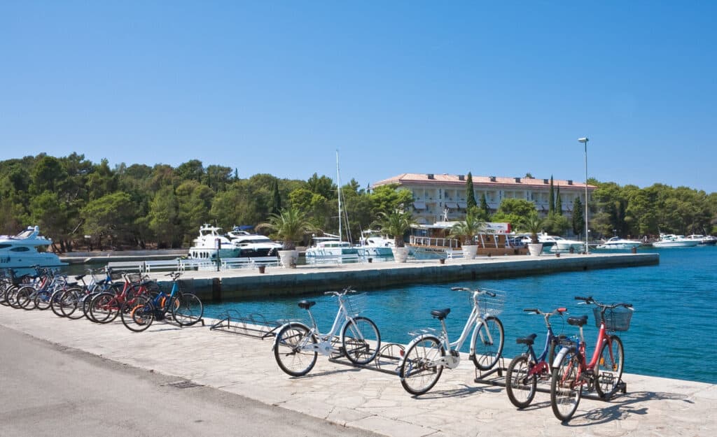 Bicycles lined up near a small harbor.