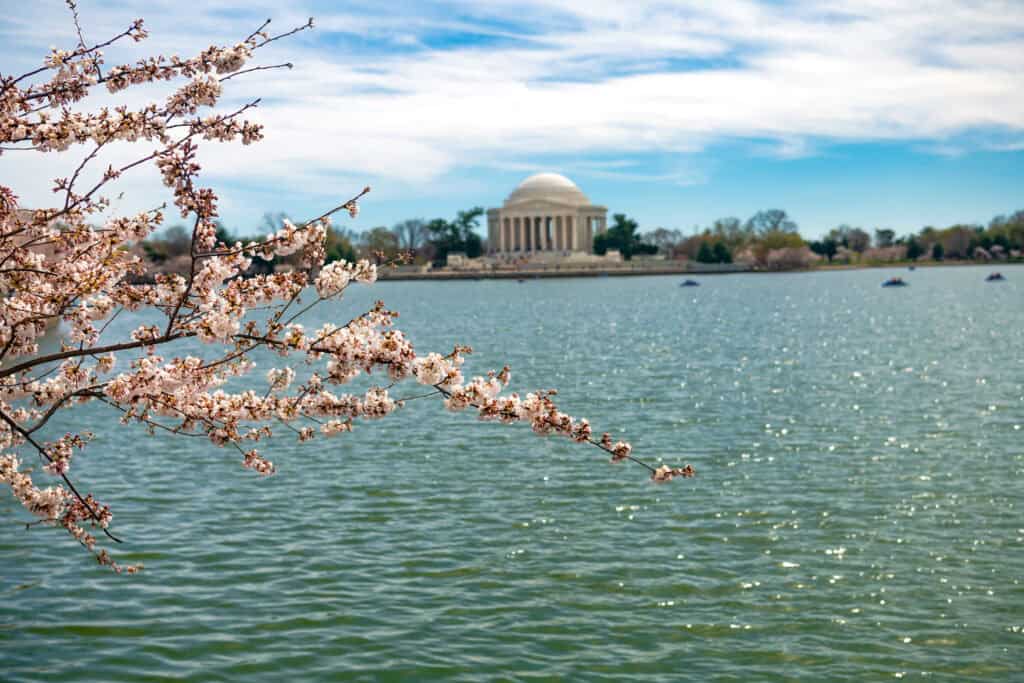 Washington, D.C.: Tidal Basin and Memorials