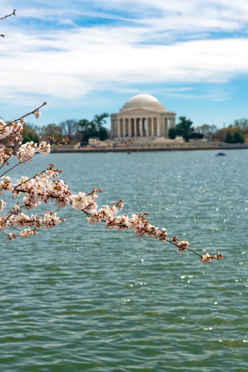Washington, D.C.: Tidal Basin and Memorials