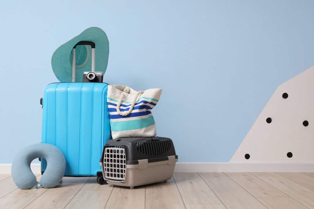 Suitcase next to pet crate and alternate travel gear