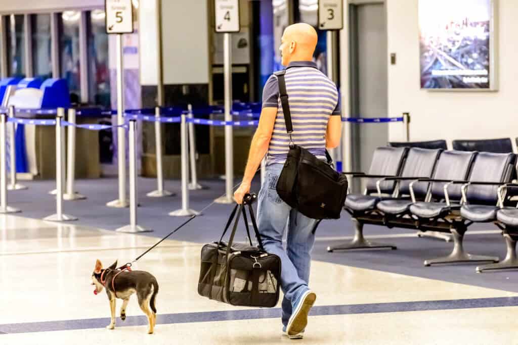 man walking his dog in an airport