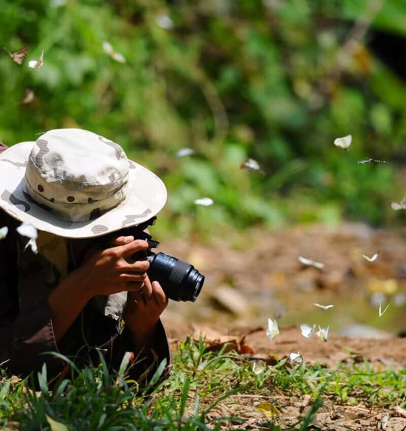 Ethical Wildlife Viewing in America: What Pro Guides Do-and Don’t