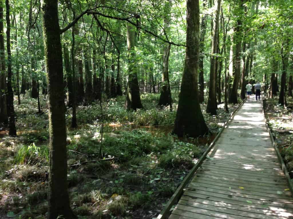 Congaree National Park, South Carolina