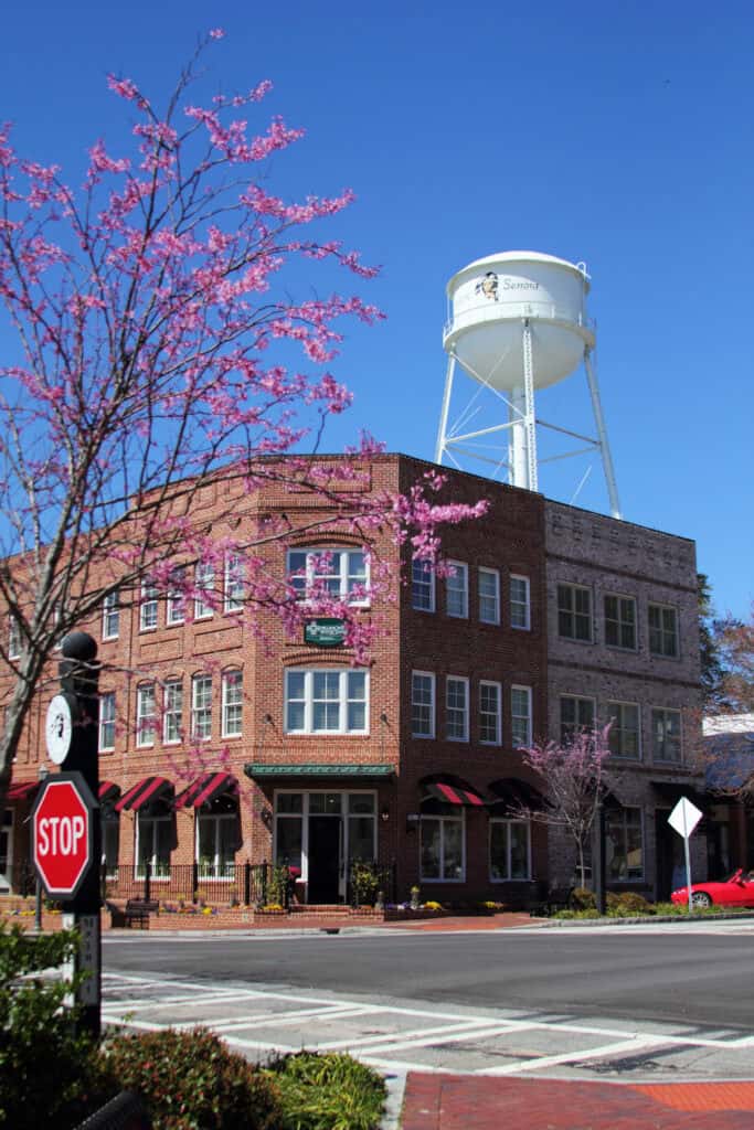 Senoia, Georgia