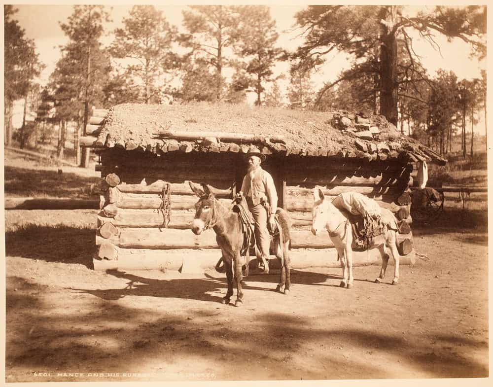 Title: Hance and His Burros. Creator: W. H. J. Phot. Co. Date: ca. 1892
