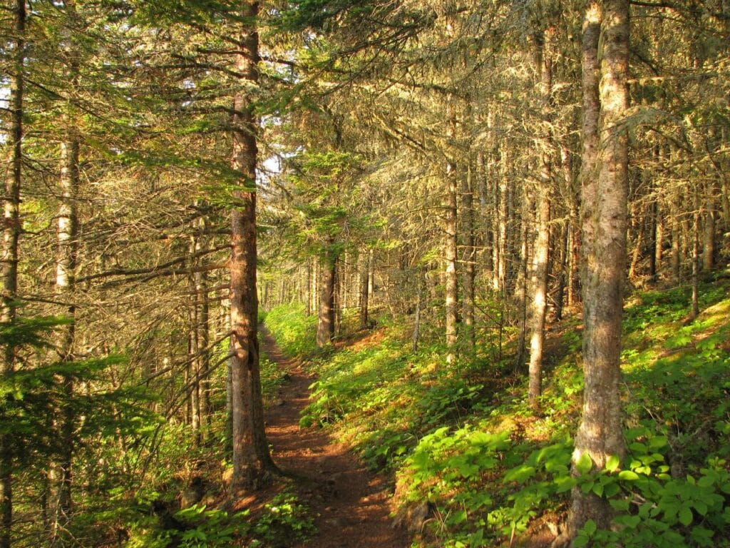 Isle Royale National Park, Michigan
