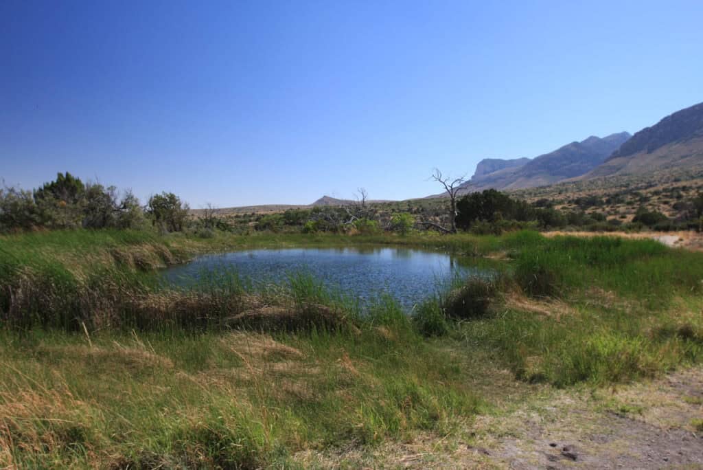 Guadalupe Mountains National Park, Texas