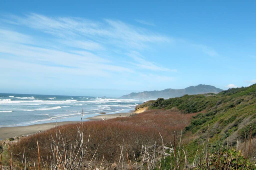 North_view_from_Newport,_Oregon