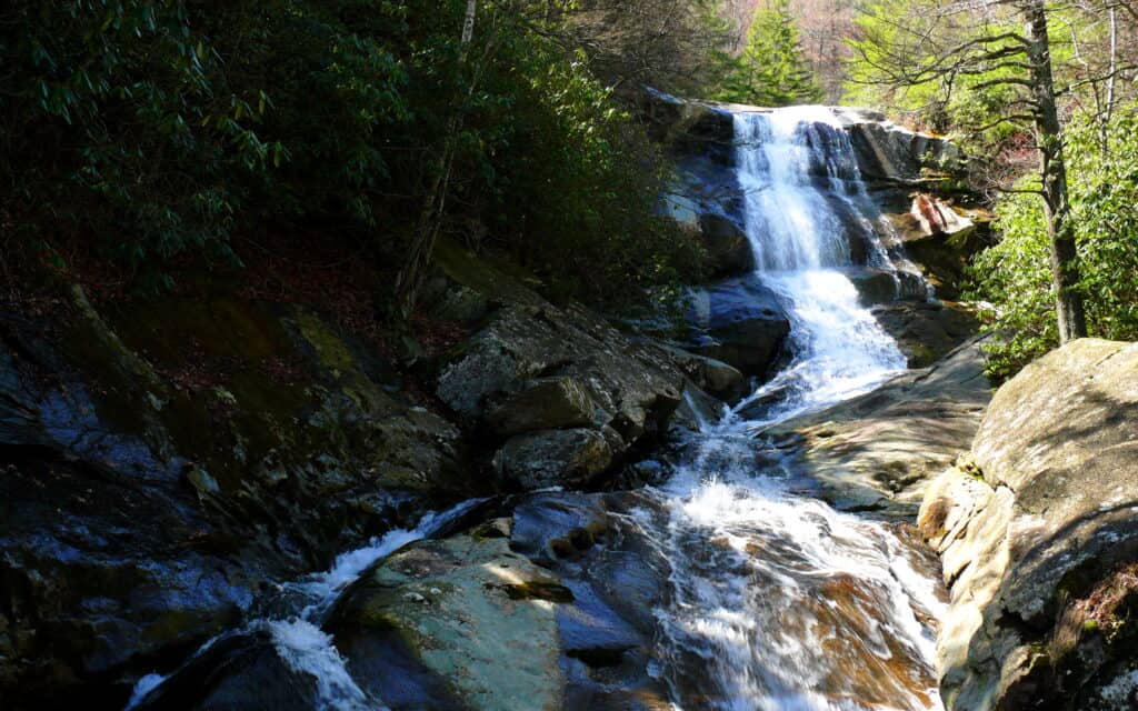 Pisgah National Forest, North Carolina