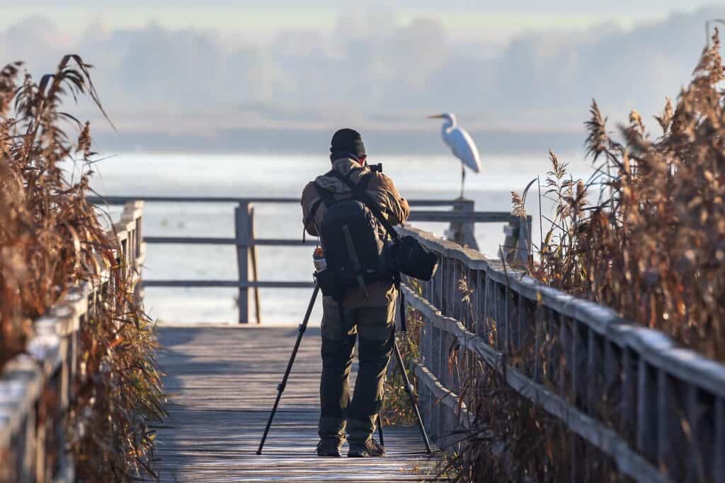 A guide demonstrating proper photography techniques from a safe distance.