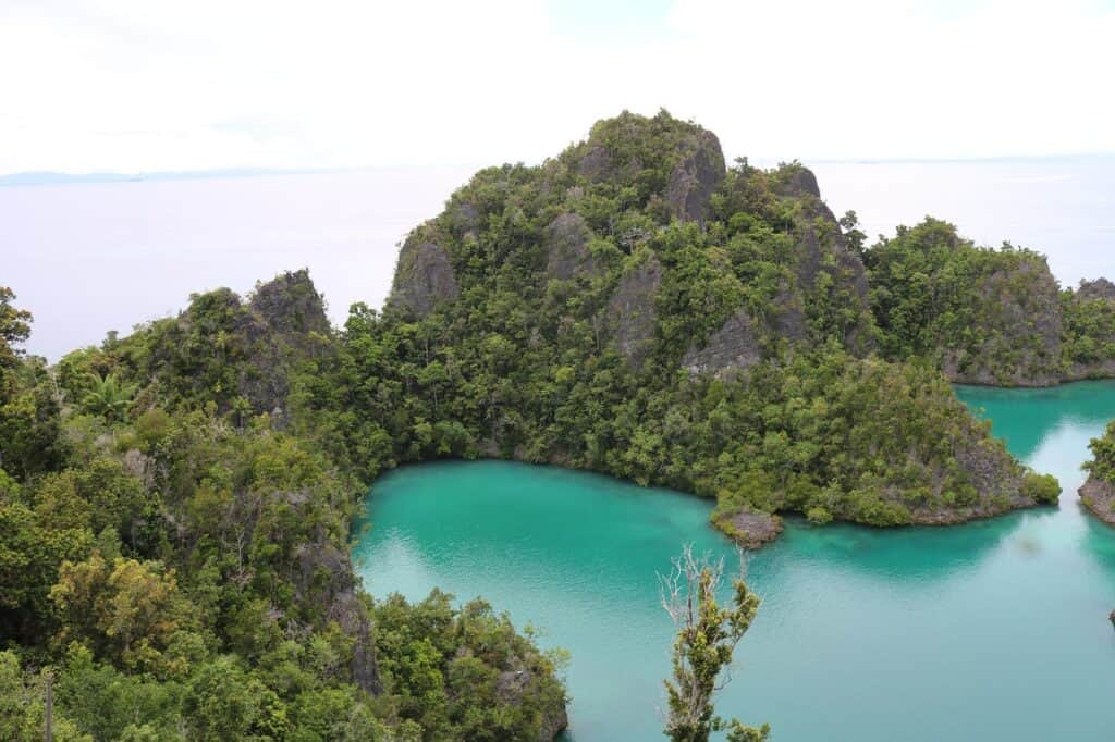 Central Papua & Highland Papua, Indonesia
