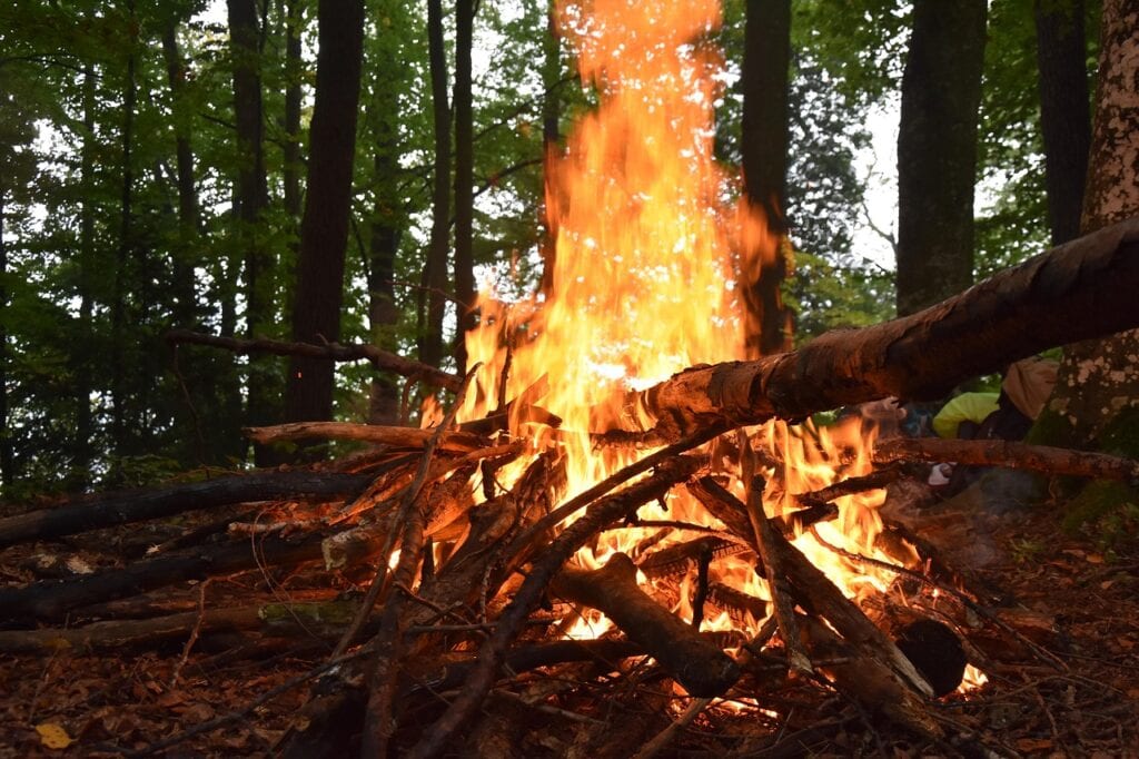 Campfire ring with locally sourced wood burning.