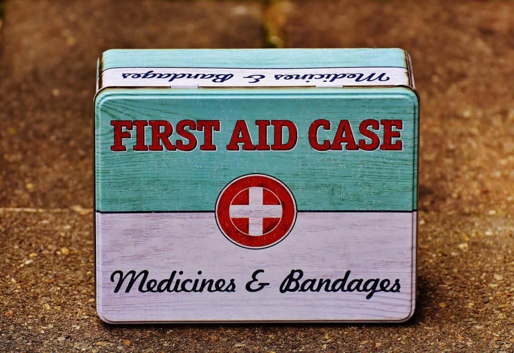 Pet first-aid kit laid out neatly