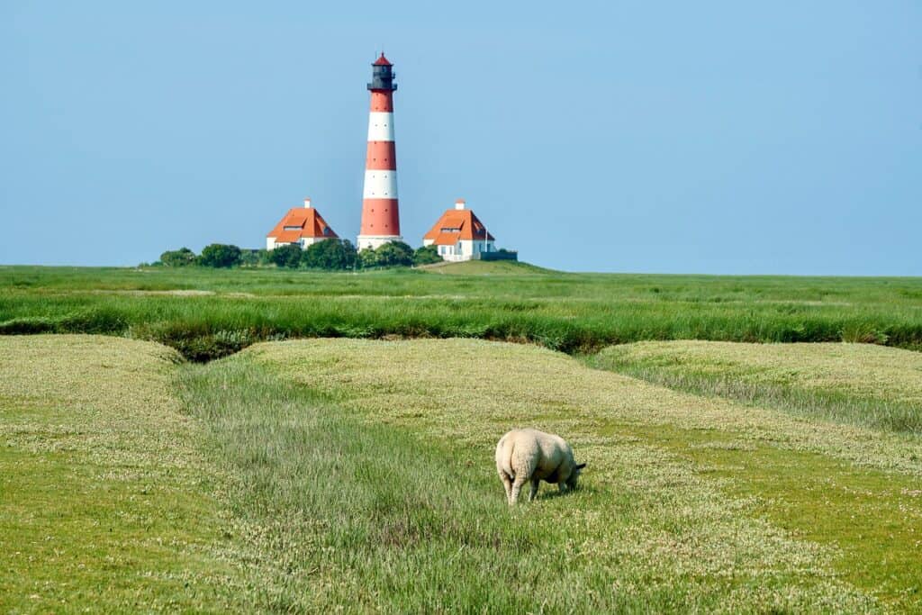 Lighthouse, Sea, Tower image.