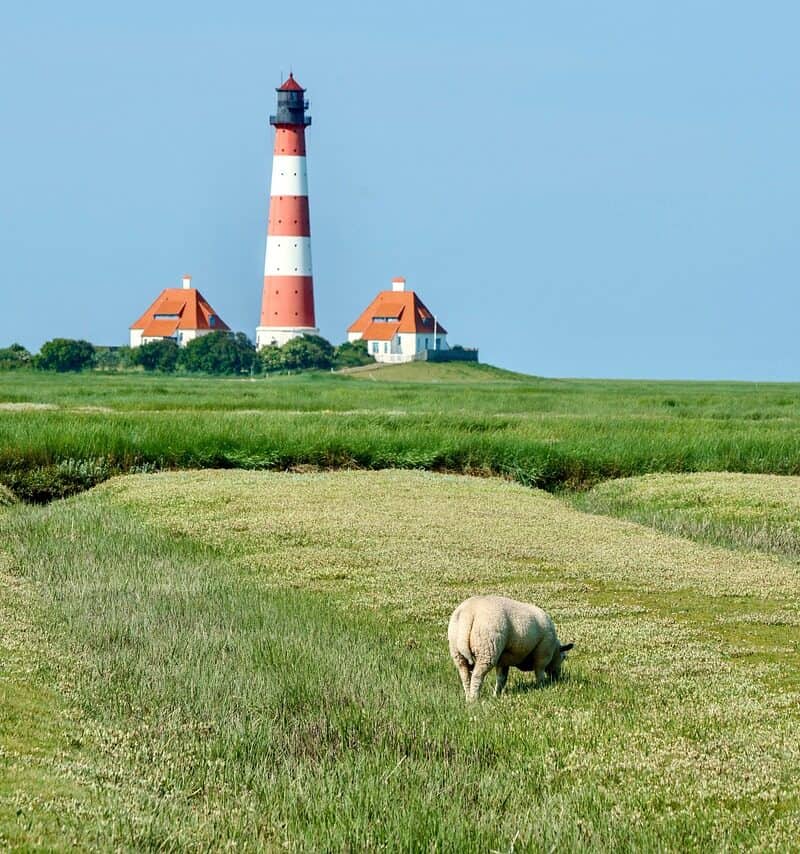 11 Lighthouse Towns Where the Fog Horn Still Calls the Day