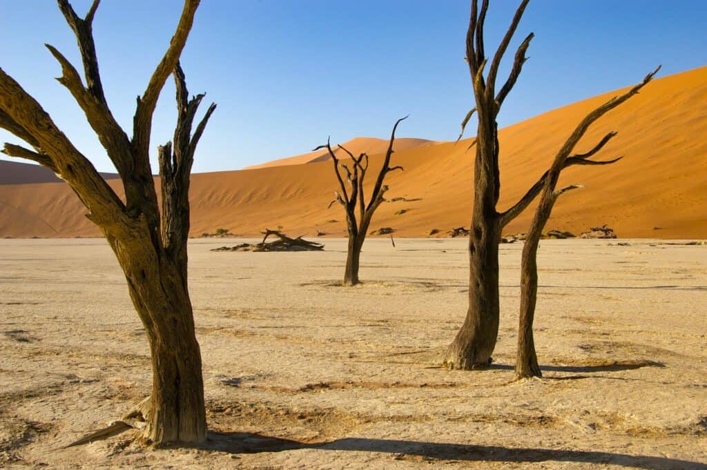 Sossusvlei, Namib Desert, Namibia
