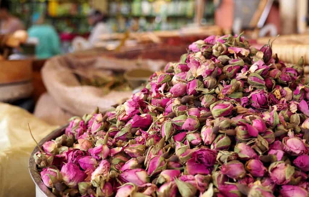 Rose festival Morocco traditional clothing petals