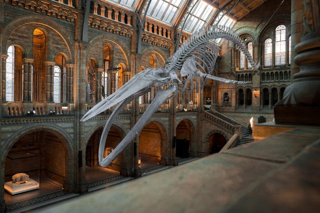Swiss National Museum