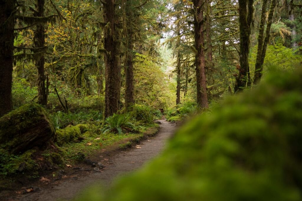 Olympic National Park, Washington