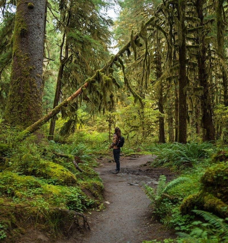 Olympic National Park, Washington