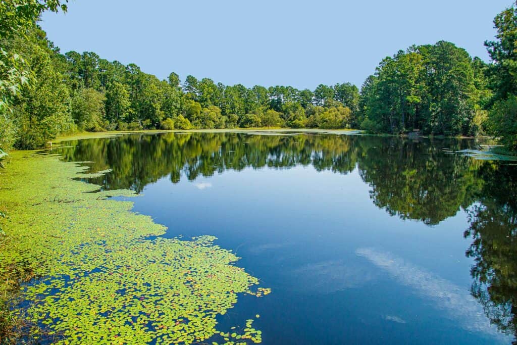 Conway, South Carolina