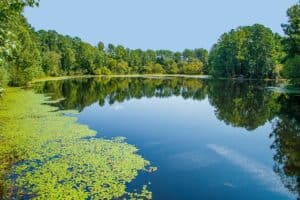 Conway, South Carolina