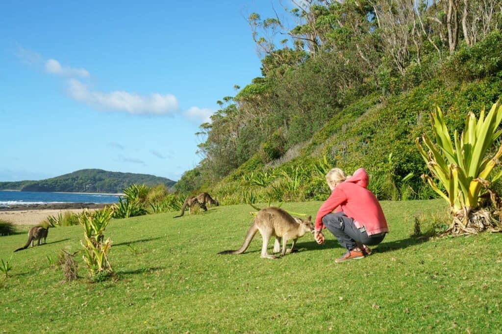 Kangaroo Island, Australia