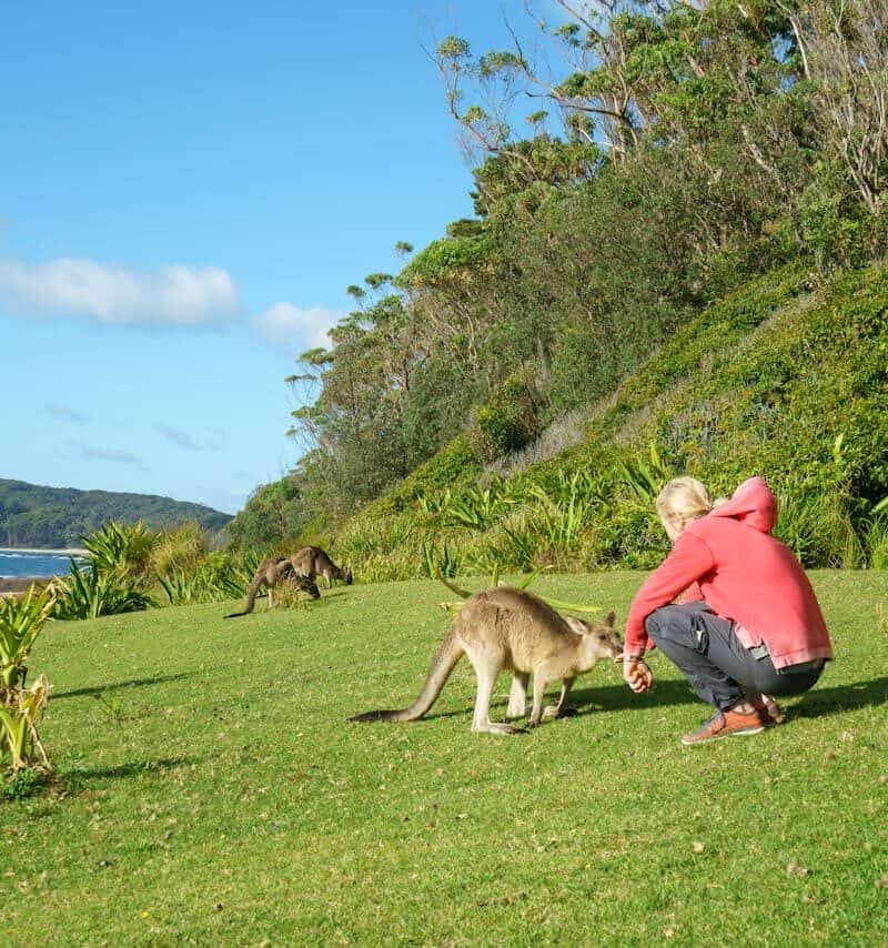 Kangaroo Island, Australia