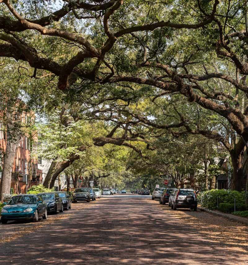 Jones Street, Savannah, Georgia
