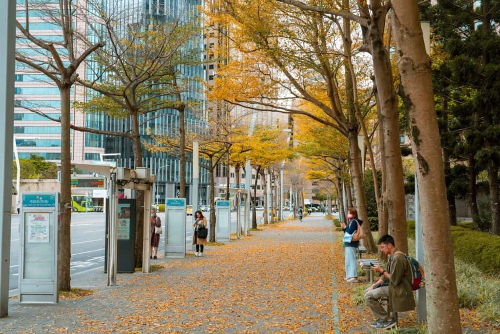 city street fall leaves