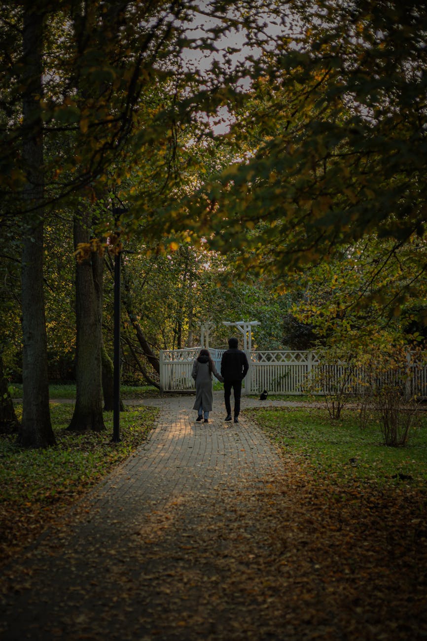 romantic autumn walk on a leaf covered path
