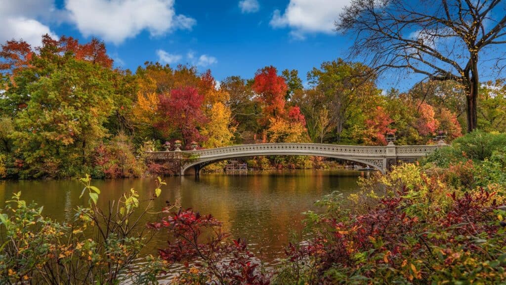 Central Park autumn foliage